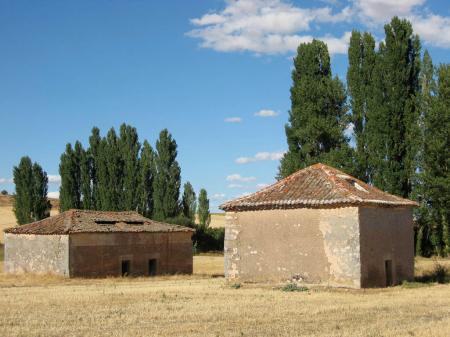 Palomares en Pajarejos