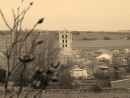 Imagen Cedillo de la Torre